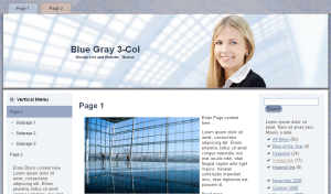 Blue Gray Business Theme