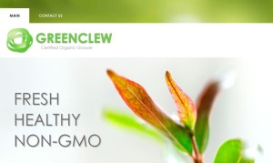 Green Clew Responsive Theme